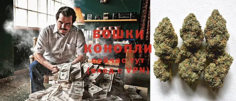 Бошки Шишки OG Kush  Горячий Ключ 